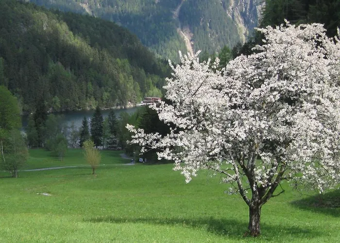 Gasthof Piburger See 3*