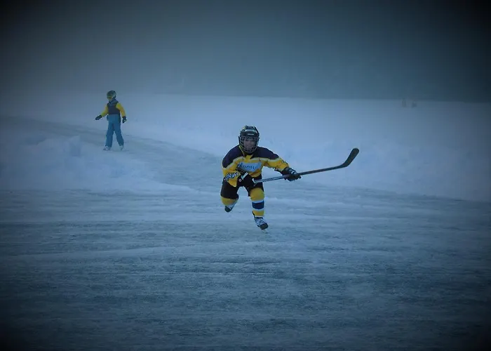 Gasthof Piburger See 3*