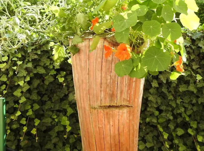 Penzion Gasthof Piburger See Oetz