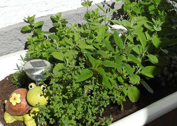 Gasthof Piburger See 3* Oetz