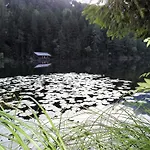 Herberg Gasthof Piburger See
