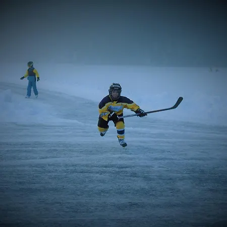 Gasthof Piburger See 3*