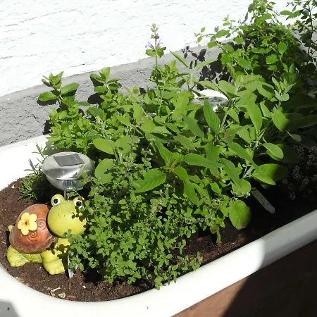 Gasthof Piburger See 3* Oetz