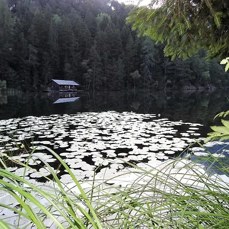 宾馆 皮伯格湖旅馆