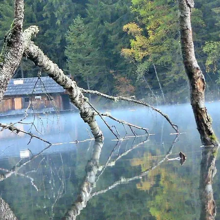 宾馆 皮伯格湖旅馆 3*